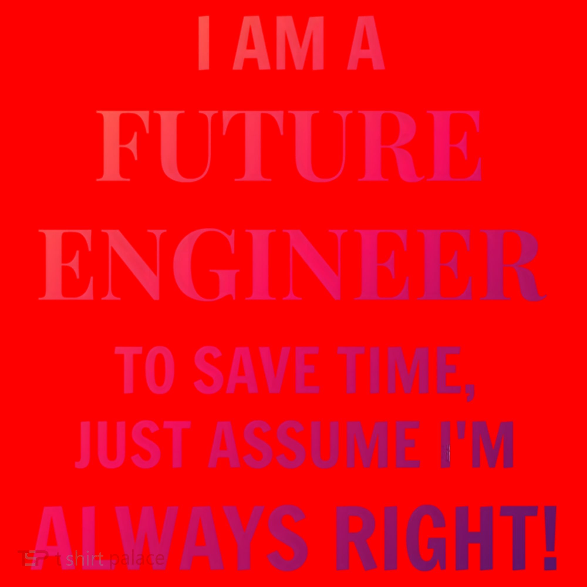 Funny Gift Idea Future Engineer Engineering Major Gift Santa Hat