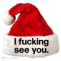 Funny Gift I Fucking See You | Funny Sarcastic Bartender Gift Santa Hat thumb 0