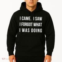 Funny Gift I Came I Saw I Forgot What I Was Doing Sarcastic Gift Hoodie thumb 2