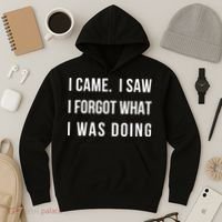 Funny Gift I Came I Saw I Forgot What I Was Doing Sarcastic Gift Hoodie thumb 3