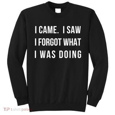 Funny Gift I Came I Saw I Forgot What I Was Doing Sarcastic Gift Sweatshirt