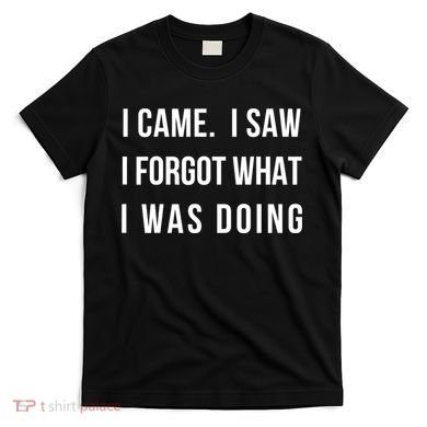 Funny Gift I Came I Saw I Forgot What I Was Doing Sarcastic Gift T-Shirt