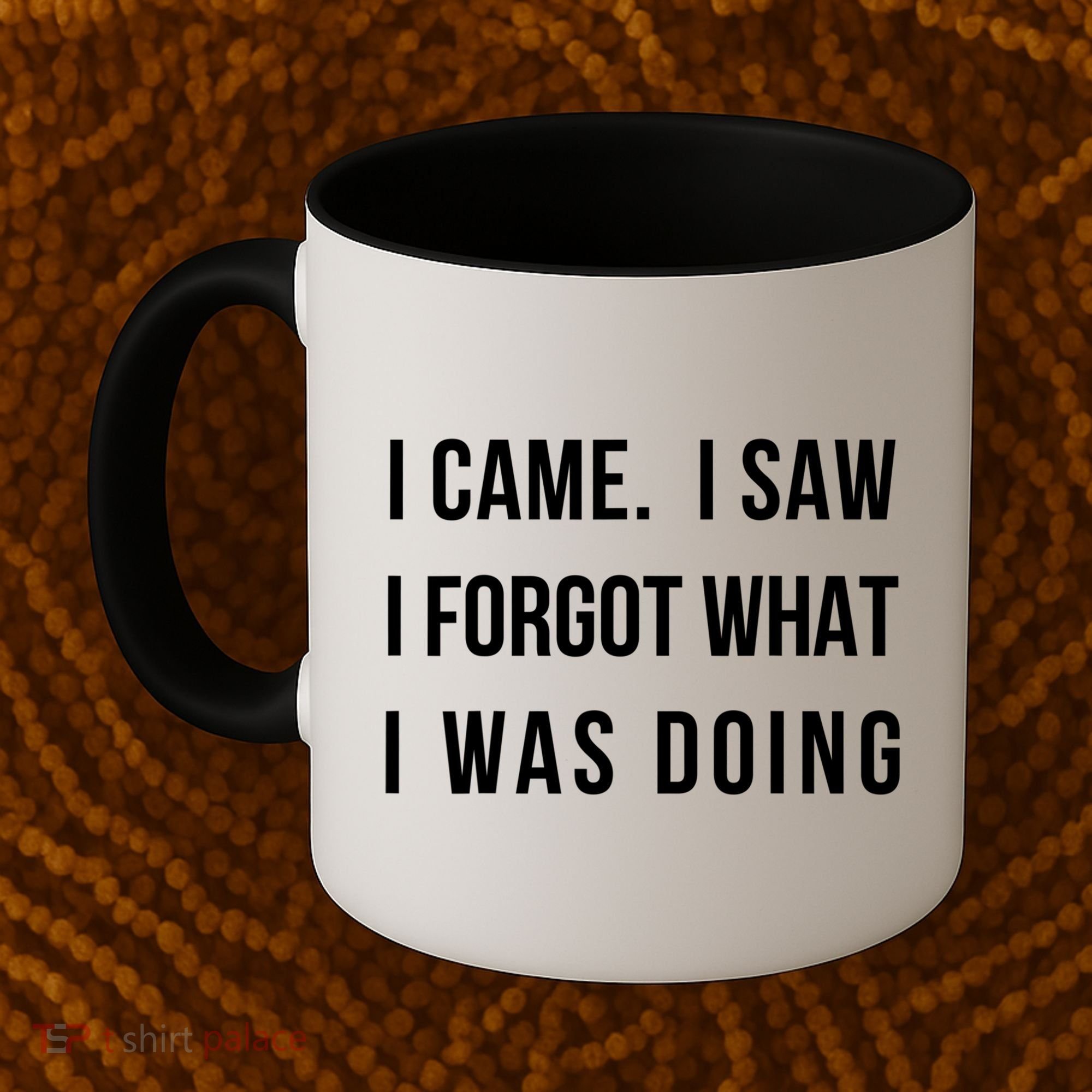 Funny Gift I Came I Saw I Forgot What I Was Doing Sarcastic Gift Coffee Mug