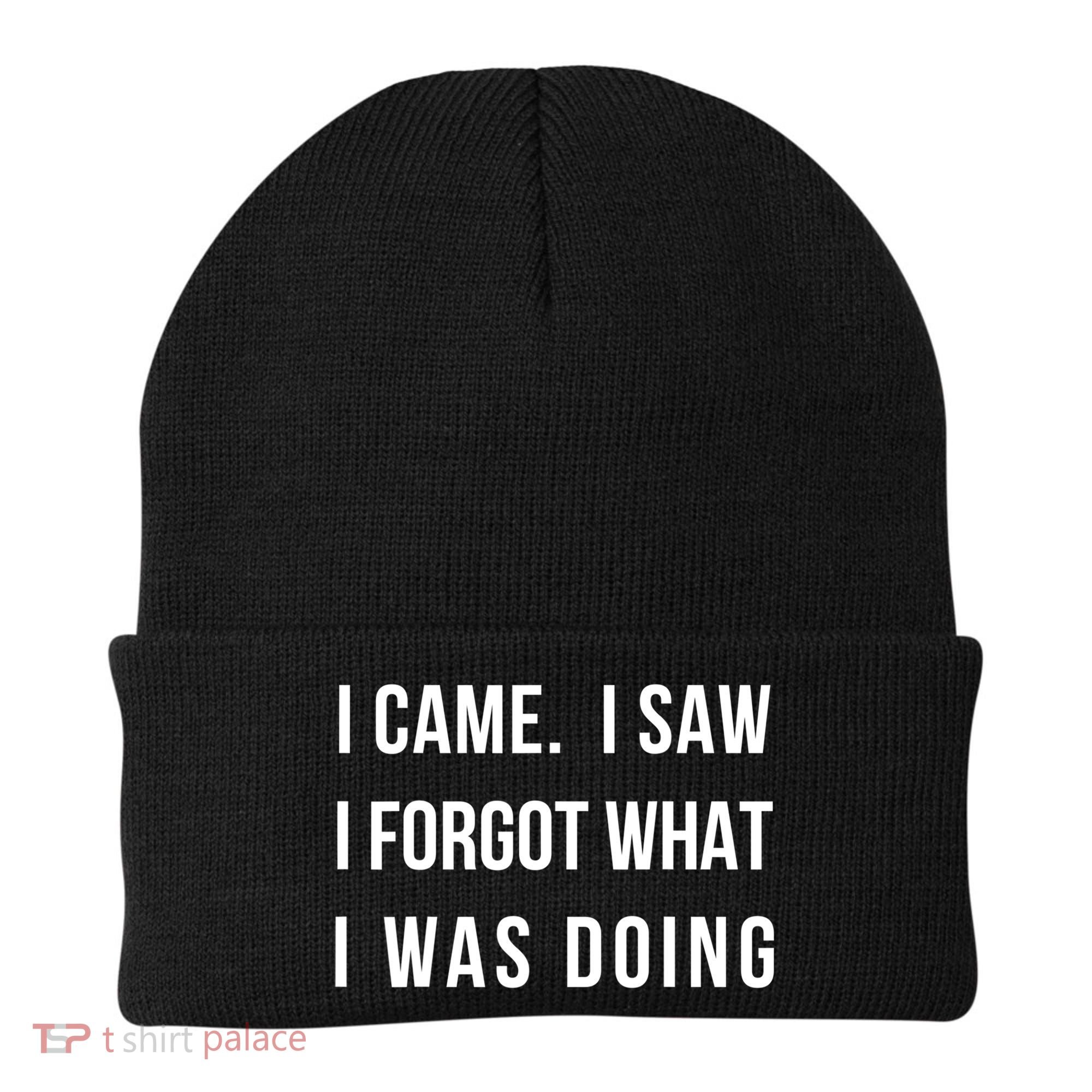 Funny Gift I Came I Saw I Forgot What I Was Doing Sarcastic Gift Beanie