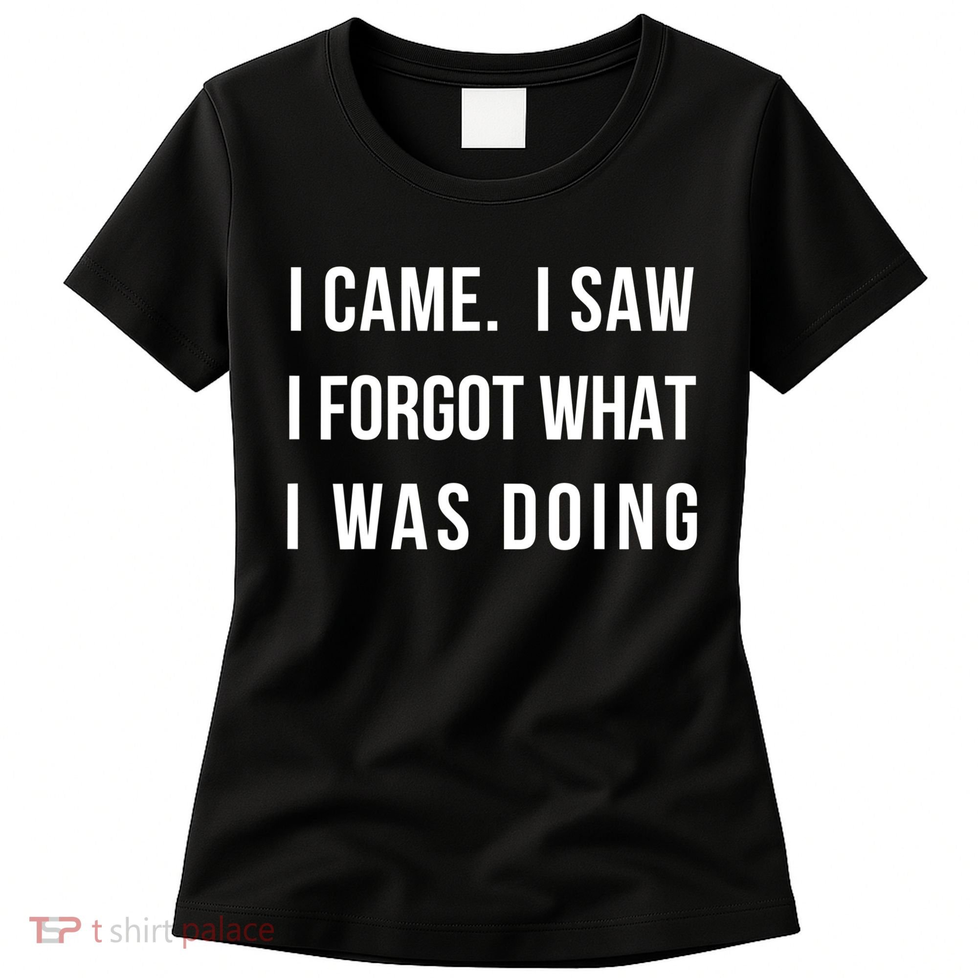Funny Gift I Came I Saw I Forgot What I Was Doing Sarcastic Gift Women's T-Shirt