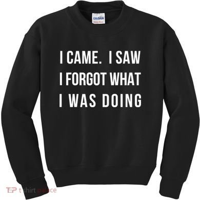 Funny Gift I Came I Saw I Forgot What I Was Doing Sarcastic Gift Kids Sweatshirt