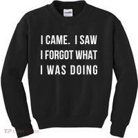 Funny Gift I Came I Saw I Forgot What I Was Doing Sarcastic Gift Kids Sweatshirt thumb 0