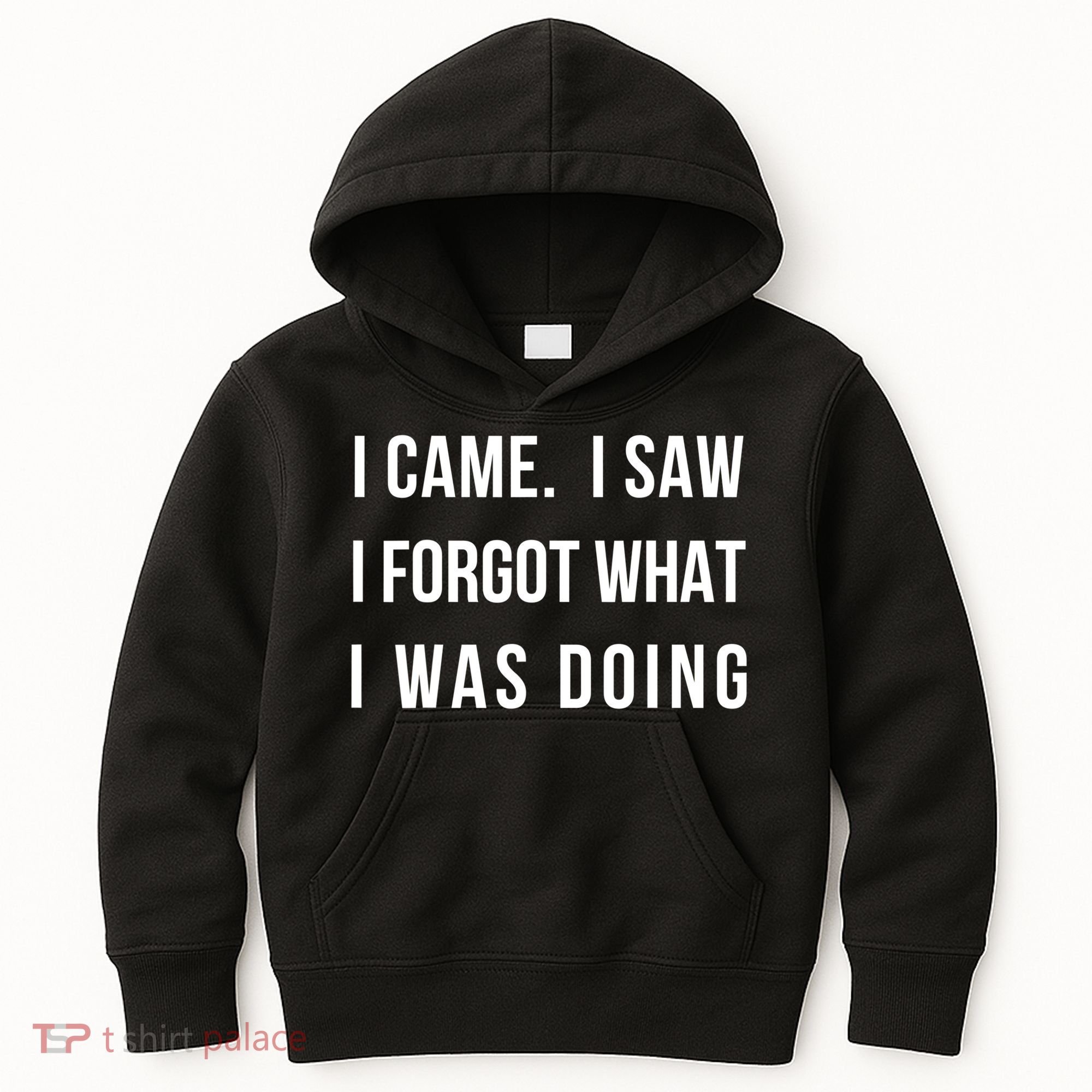 Funny Gift I Came I Saw I Forgot What I Was Doing Sarcastic Gift Kids Hoodie