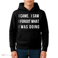 Funny Gift I Came I Saw I Forgot What I Was Doing Sarcastic Gift Kids Hoodie thumb 4