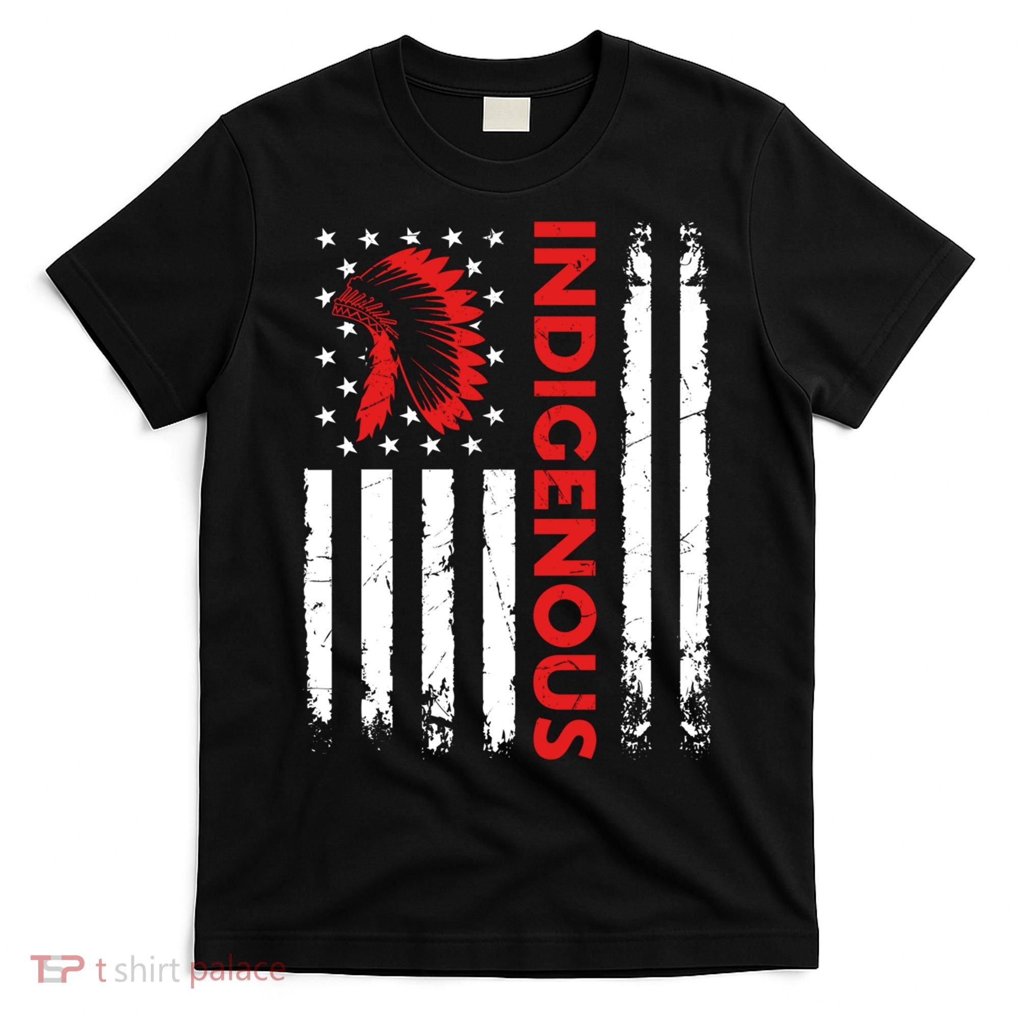 Funny Gift Indigenous People Day Us Flag Native American Heritage  T-Shirt