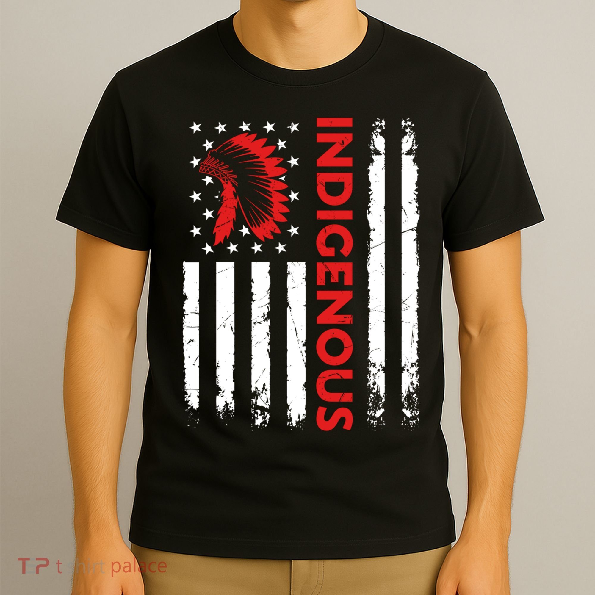 Funny Gift Indigenous People Day Us Flag Native American Heritage  T-Shirt