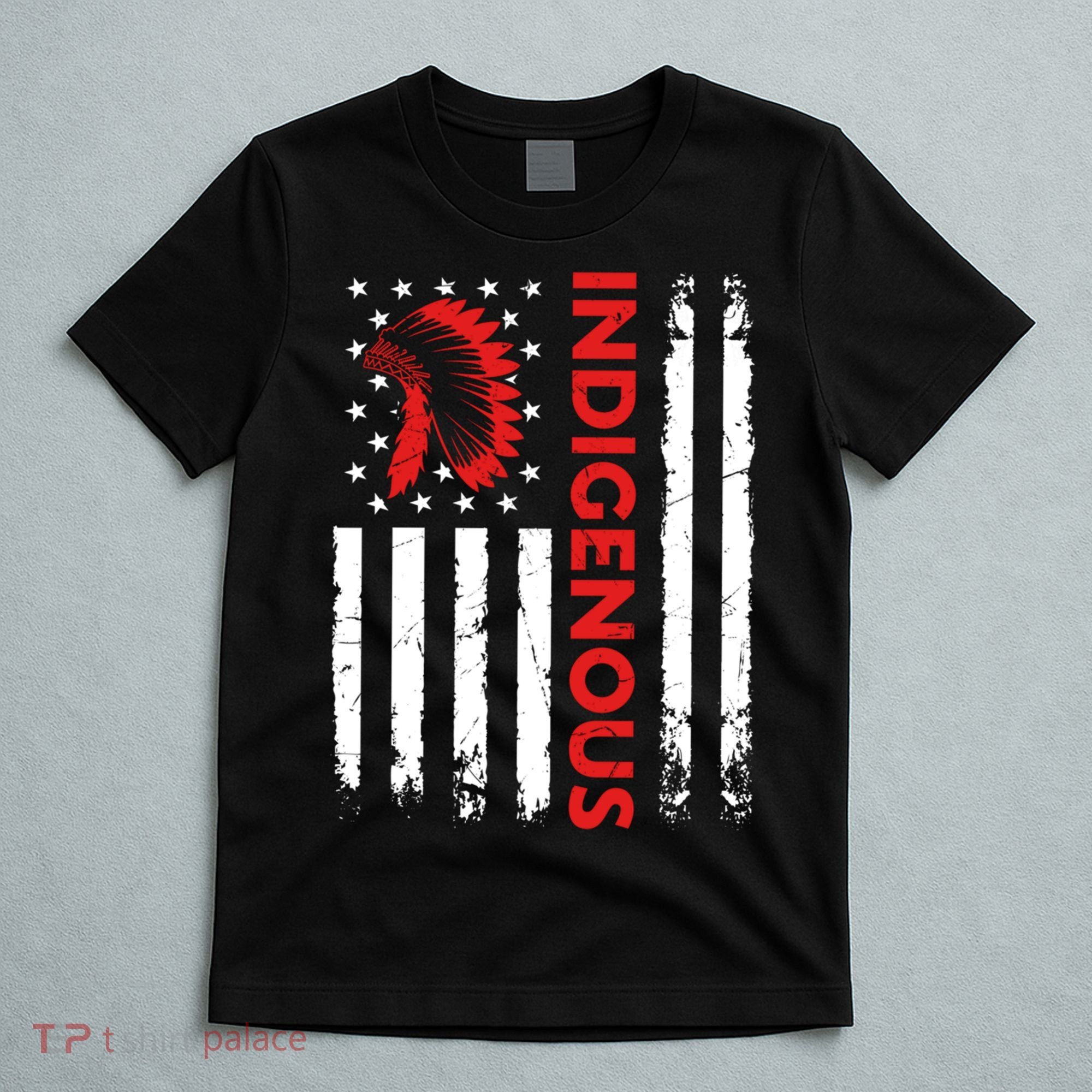 Funny Gift Indigenous People Day Us Flag Native American Heritage  T-Shirt