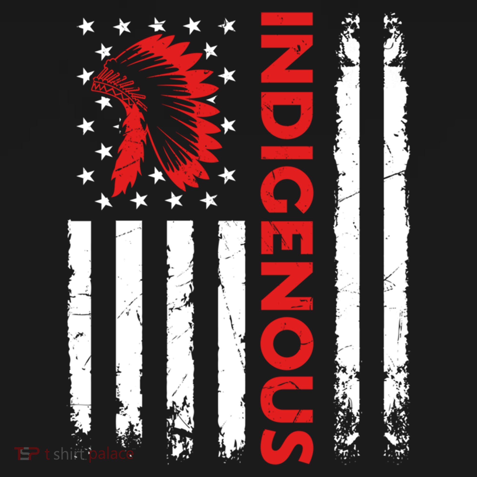 Funny Gift Indigenous People Day Us Flag Native American Heritage  T-Shirt