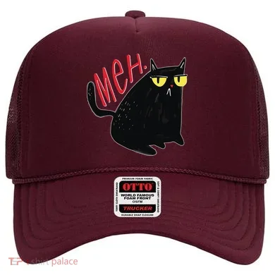 Funny Grumpy Meh Cat Hat