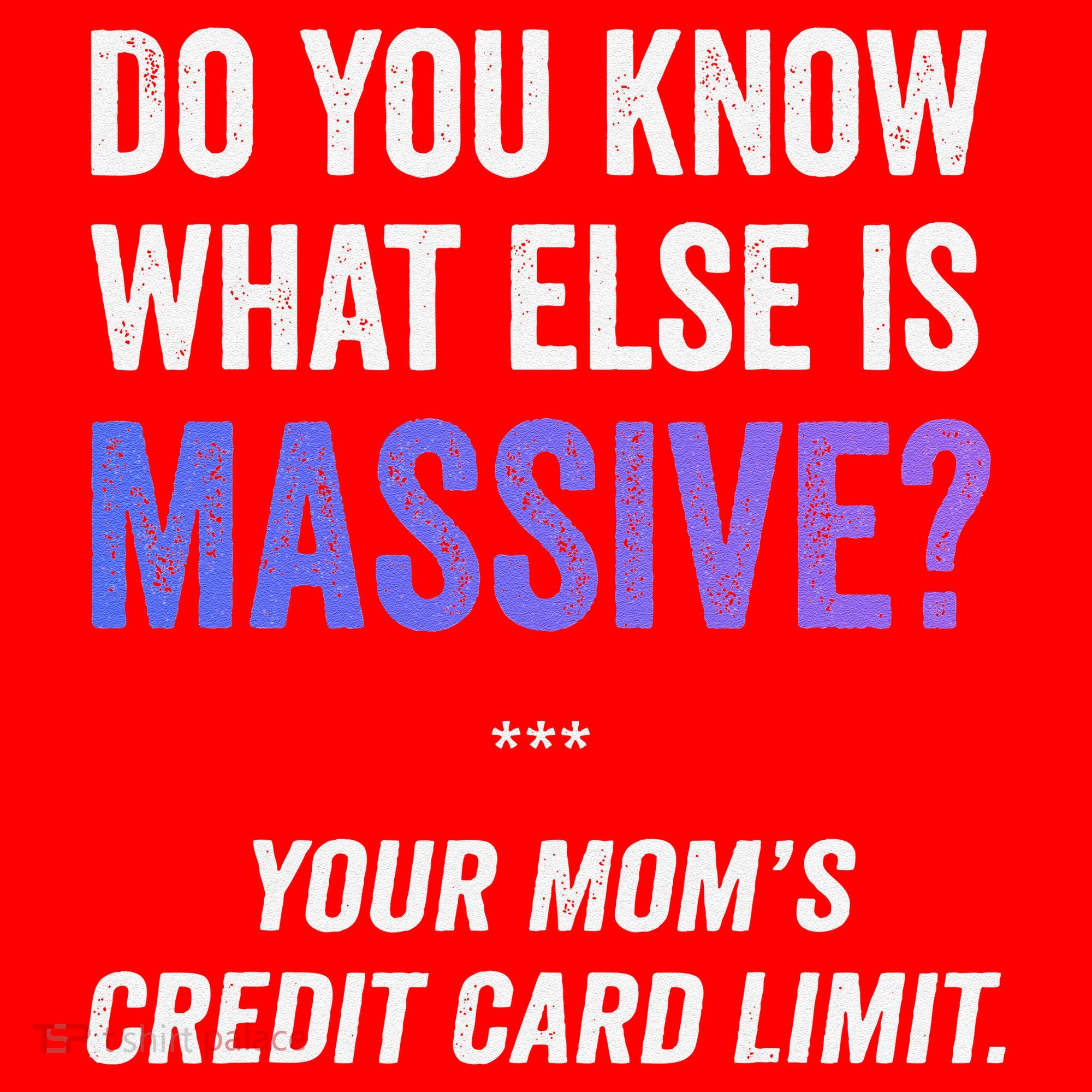 Funny Gaming Meme Massive Credit Card Limit Your Mom Santa Hat
