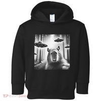 Funny Graphic Novelty Capybara Selfie With Ufo Weird Silly Toddler Hoodie thumb 0