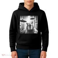 Funny Graphic Novelty Capybara Selfie With Ufo Weird Silly Kids Hoodie thumb 4