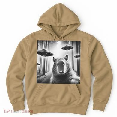 Funny Graphic Novelty Capybara Selfie With Ufo Weird Silly Hoodie