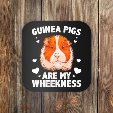 Funny Guinea Pig Design Guinea Pig Lovers Coaster