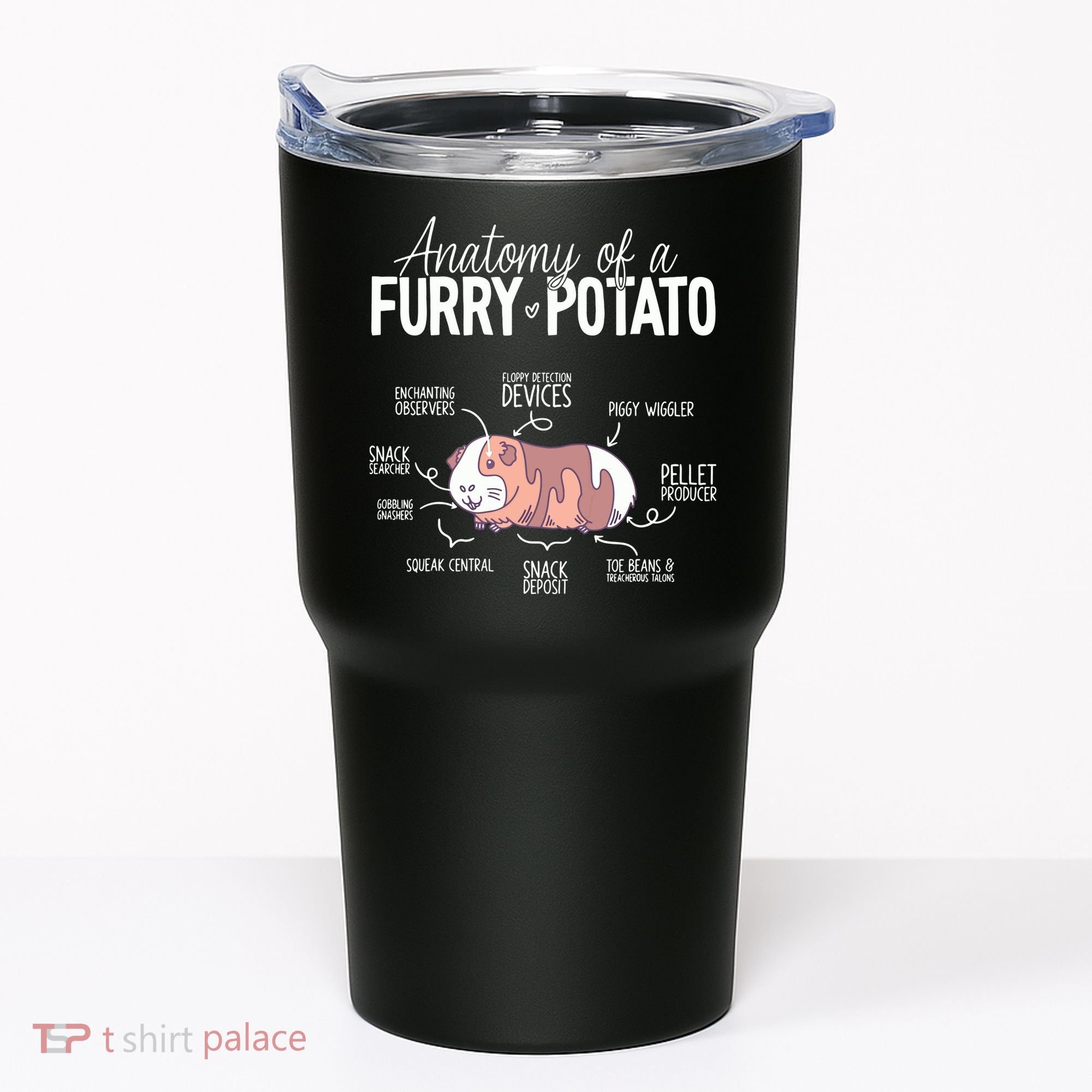 Funny Guinea Pig Guinea Pig Anatomy Guinea Pig Tumbler