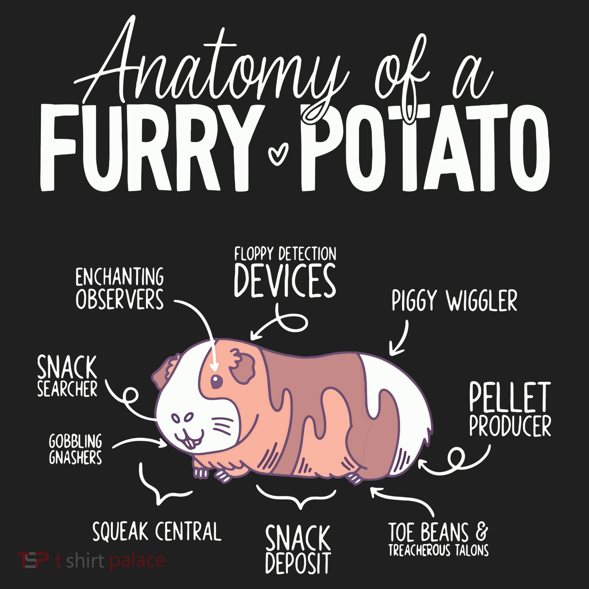 Funny Guinea Pig Guinea Pig Anatomy Guinea Pig Tumbler