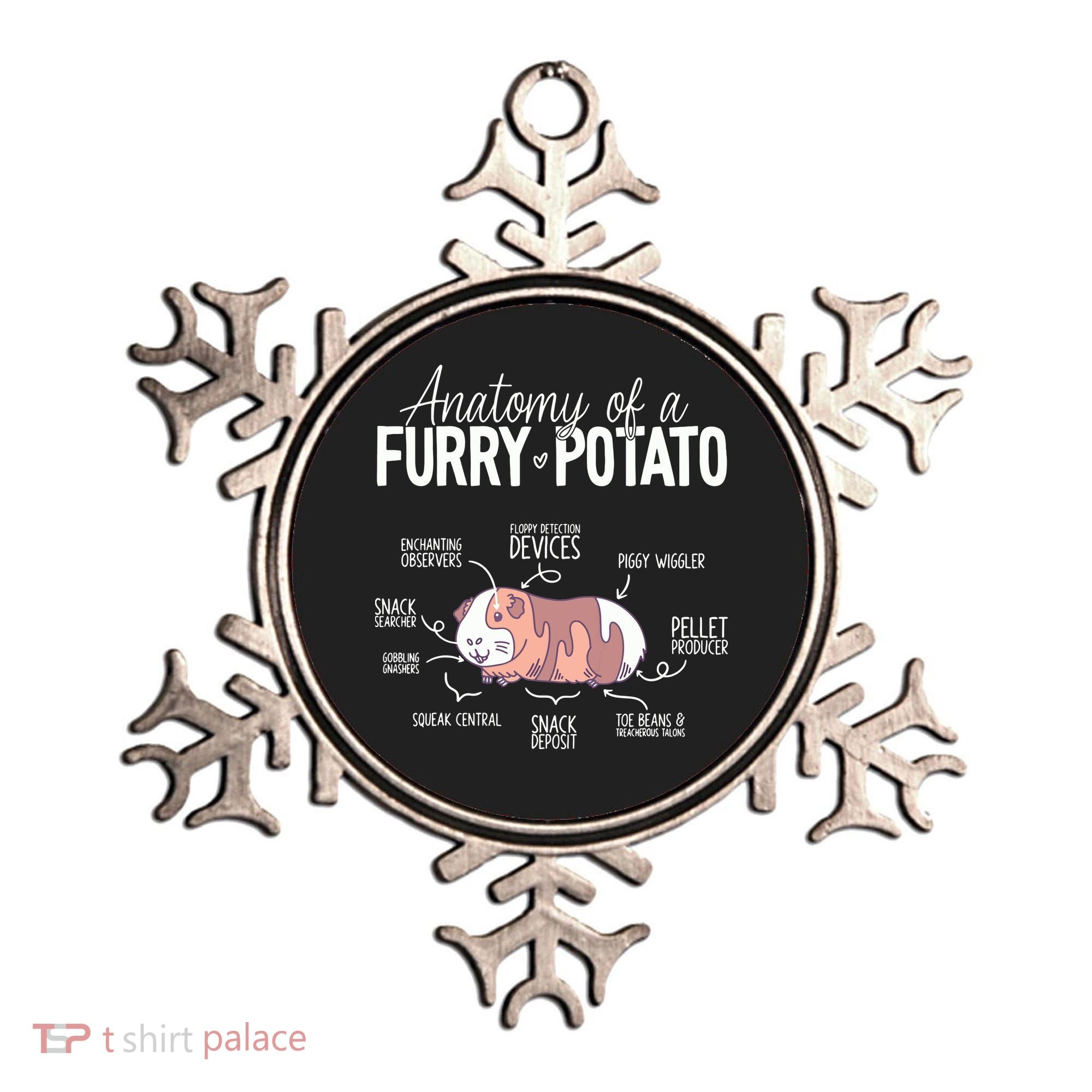 Funny Guinea Pig Guinea Pig Anatomy Guinea Pig Ornament