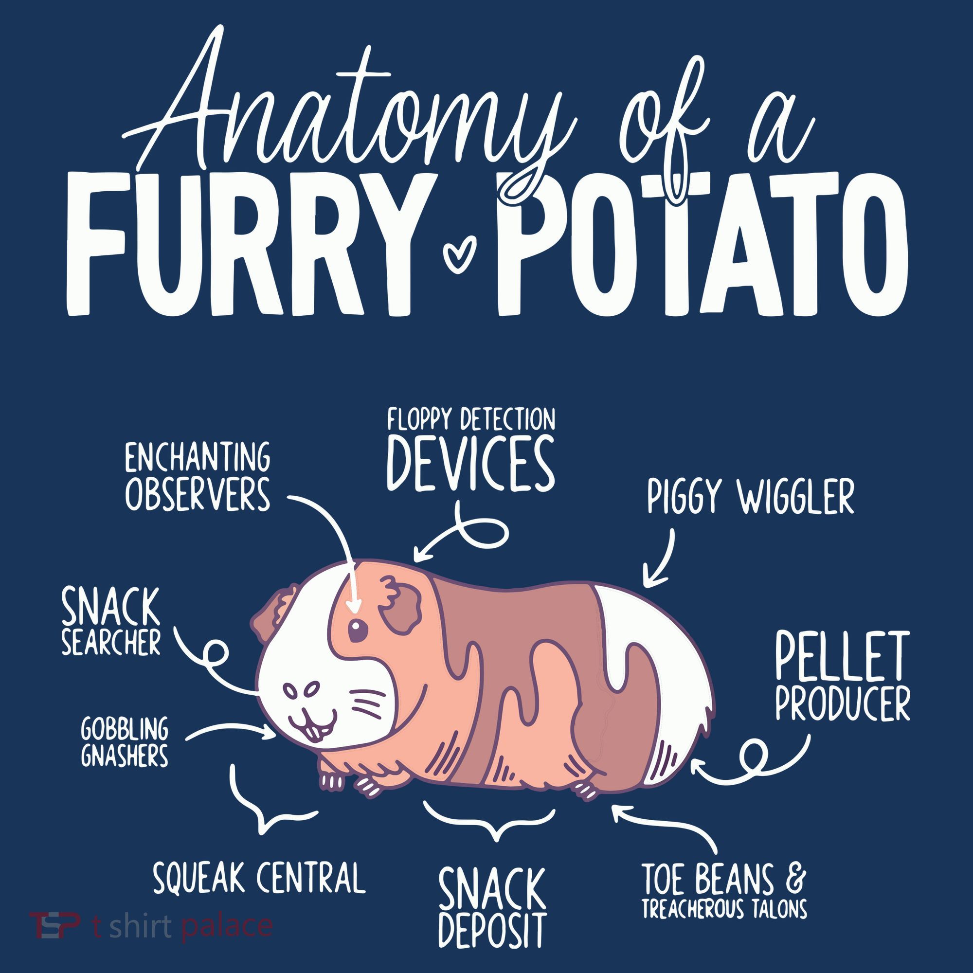 Funny Guinea Pig Guinea Pig Anatomy Guinea Pig Long Sleeve Shirt