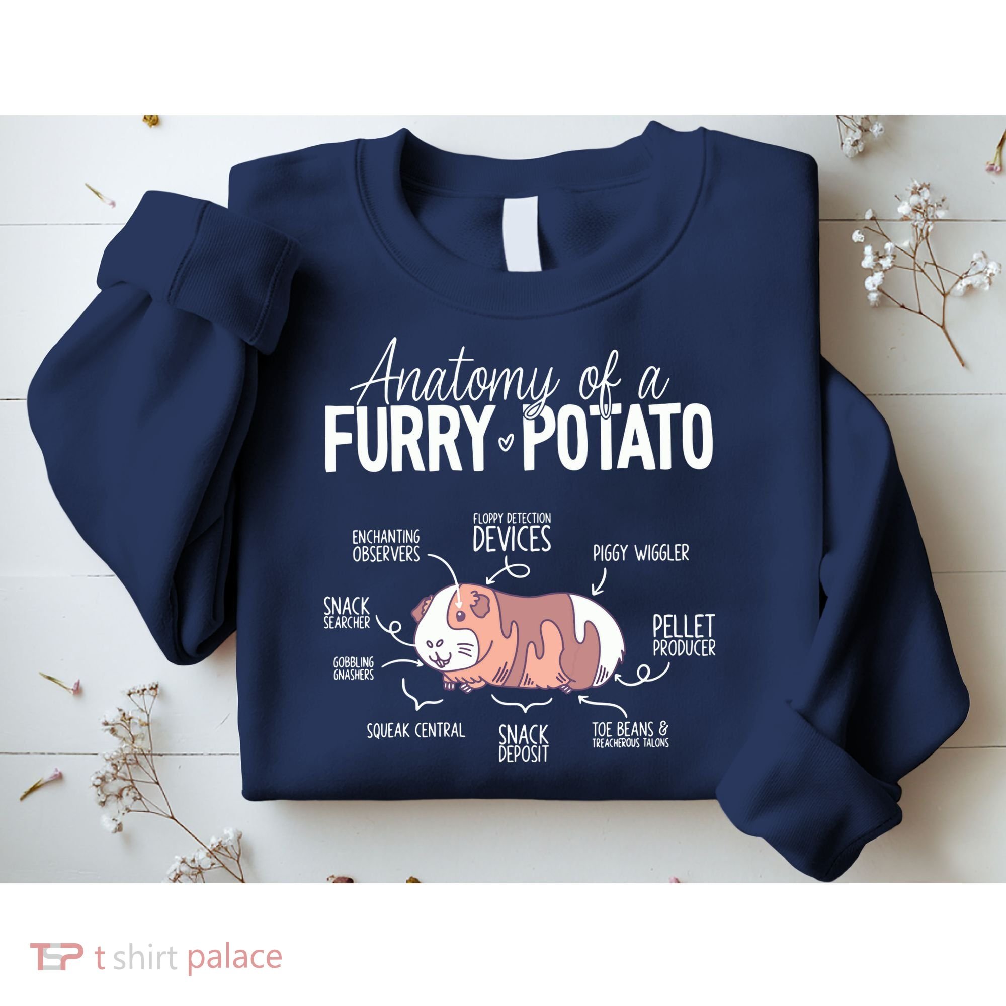 Funny Guinea Pig Guinea Pig Anatomy Guinea Pig Sweatshirt