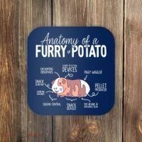 Funny Guinea Pig Guinea Pig Anatomy Guinea Pig Coaster thumb 0