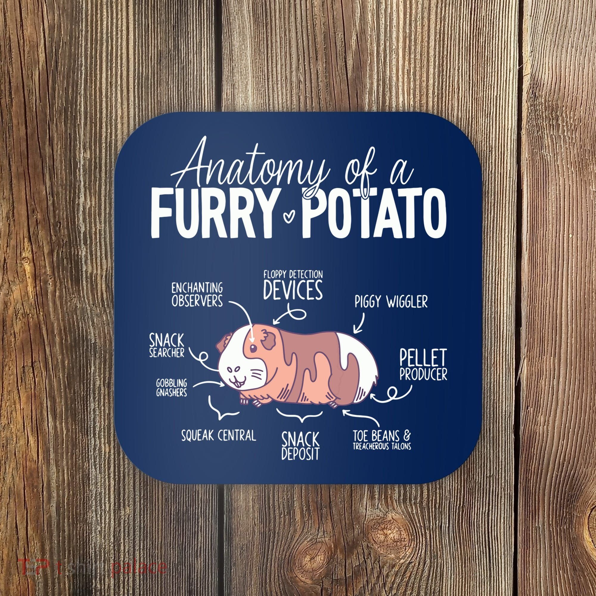 Funny Guinea Pig Guinea Pig Anatomy Guinea Pig Coaster