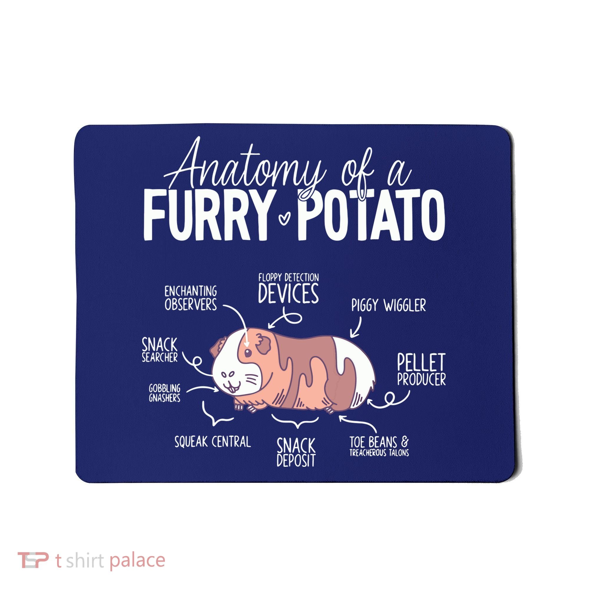 Funny Guinea Pig Guinea Pig Anatomy Guinea Pig Mousepad