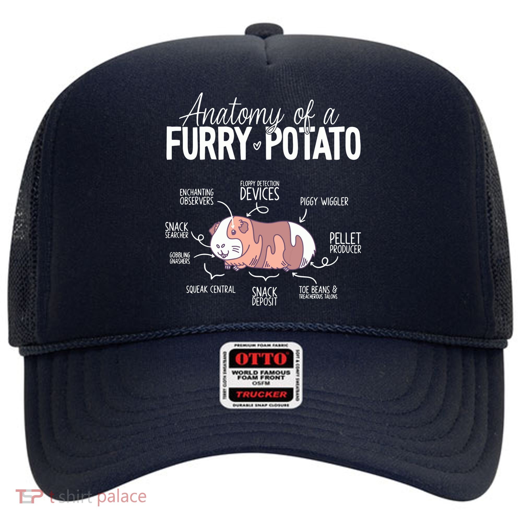Funny Guinea Pig Guinea Pig Anatomy Guinea Pig Hat