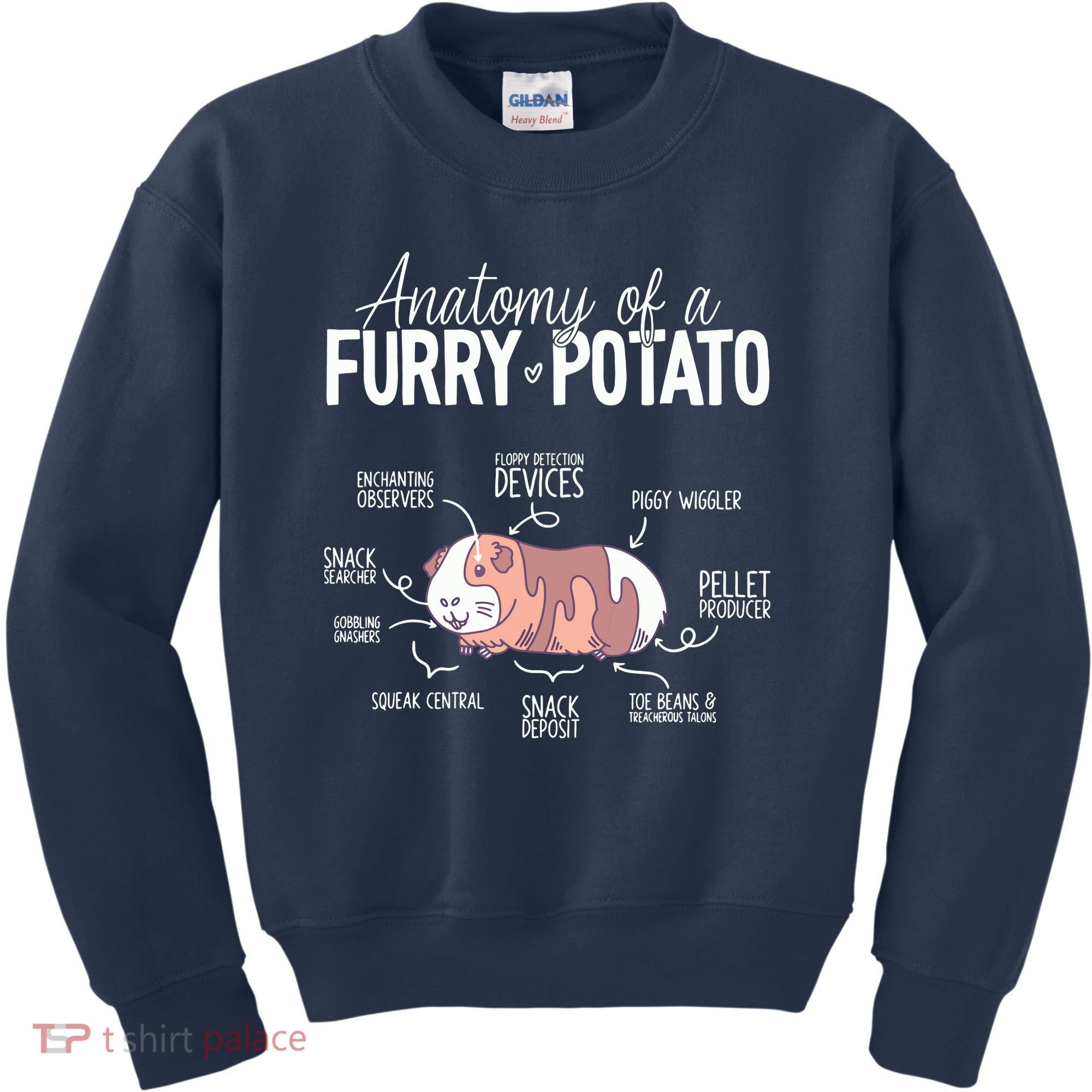 Funny Guinea Pig Guinea Pig Anatomy Guinea Pig Kids Sweatshirt