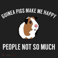 Funny Guinea Pig Gift Guinea Pig Tee Comfort Colors Boxy T-Shirt thumb 3