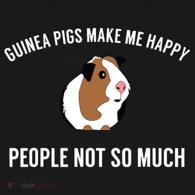 Funny Guinea Pig Gift Guinea Pig Tee Ornament