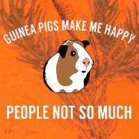 Funny Guinea Pig Gift Guinea Pig Tee Kati Licensed 12" Camo Cuffed Beanie thumb 2