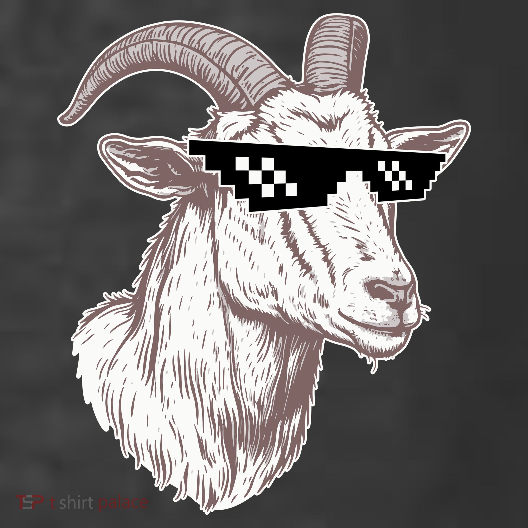 Funny GOAT Pixel Sunglasses Meme Women's Hoodie