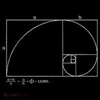 Fibonacci Golden Ratio Hoodie thumb 7