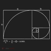 Fibonacci Golden Ratio Beanie thumb 2
