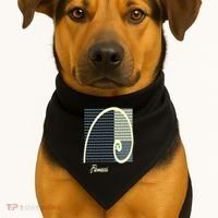 Fibonacci Golden Ratio spiral USA-Made Doggie Bandana thumb 1