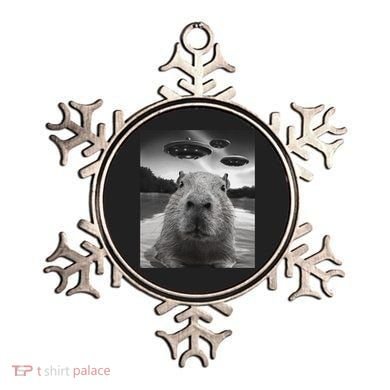 Funny Graphiccapybara Selfie With Ufos Weird Ornament
