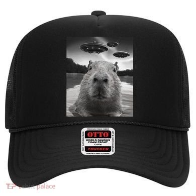 Funny Graphiccapybara Selfie With Ufos Weird Hat