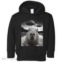 Funny Graphiccapybara Selfie With Ufos Weird Toddler Hoodie thumb 0