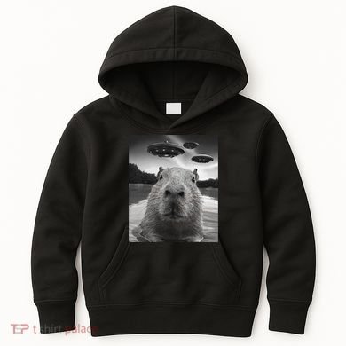 Funny Graphiccapybara Selfie With Ufos Weird Kids Hoodie