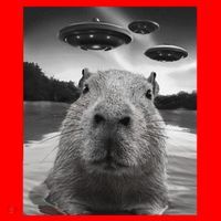 Funny Graphiccapybara Selfie With Ufos Weird Santa Hat thumb 1