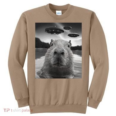 Funny Graphiccapybara Selfie With Ufos Weird Sweatshirt