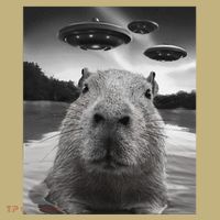 Funny Graphiccapybara Selfie With Ufos Weird Sweatshirt thumb 2