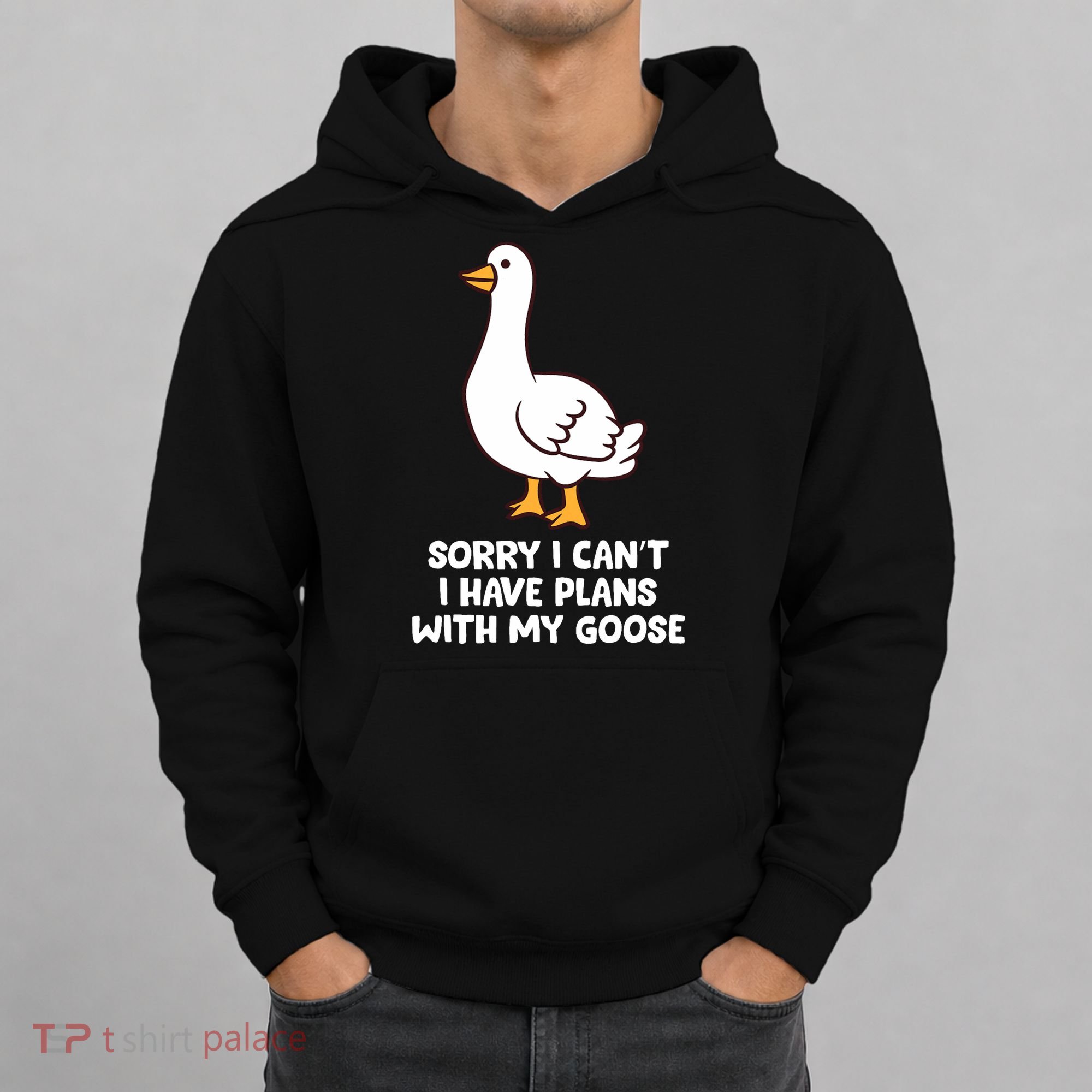 Funny Goose Sorry I CanT I Have Plans With My Goose Hoodie