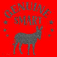 Funny Genuine Smart Ass Donkey Graphic Santa Hat thumb 1