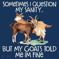 Funny Goat Tee For Crazy People Who Speak With Goats Women's Hoodie thumb 2
